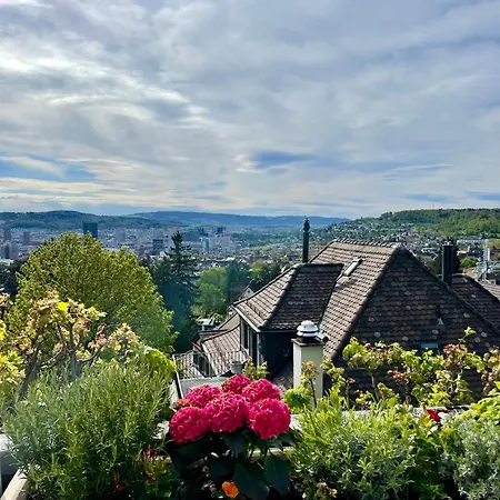 Luxury, Quiet Flat Overlooking チューリッヒ